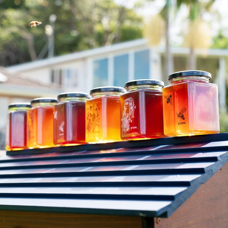 Flow Honey Jar Gift Set