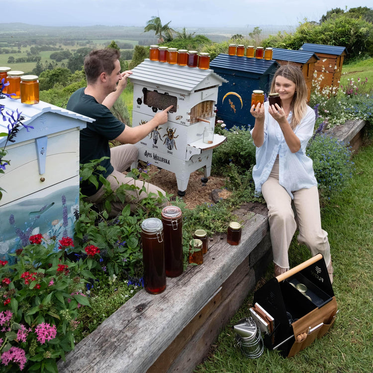 Deluxe Holiday Season Bundle