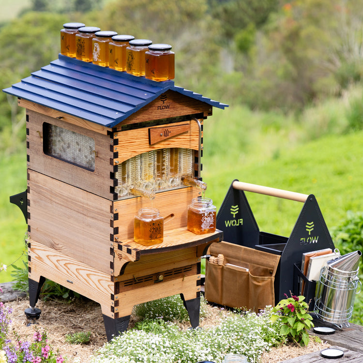 Deluxe Birthday Bundle