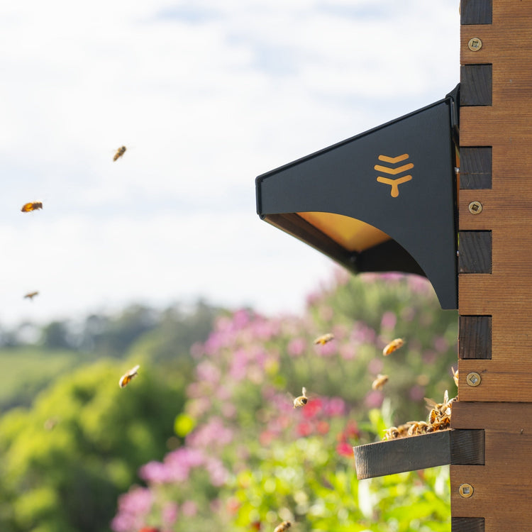 Protect and Inspect Bundle