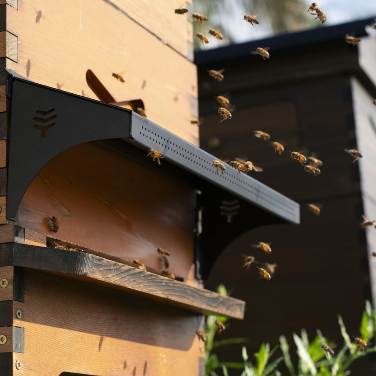 Protect and Inspect Bundle