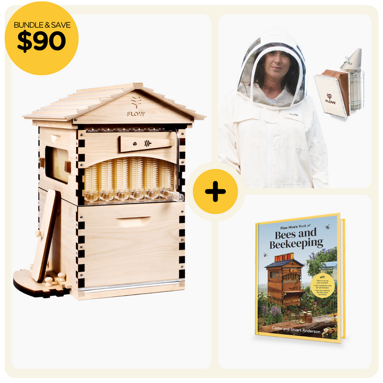 Starter Bundle