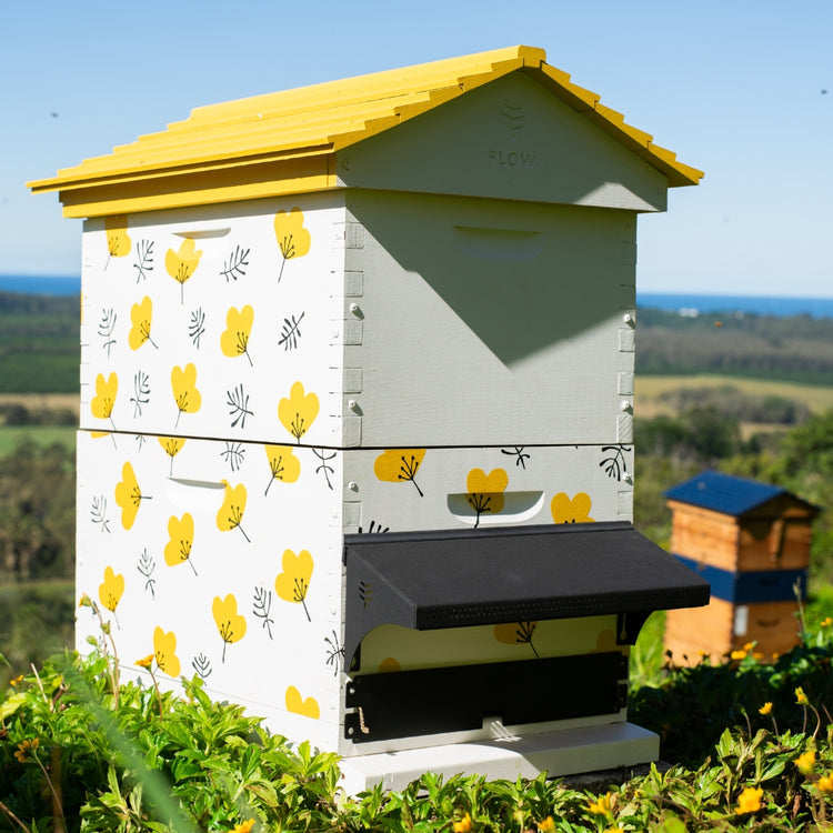 Flow Entrance Reducer