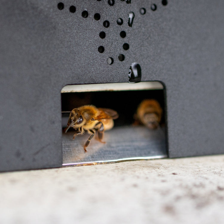 Flow Entrance Reducer