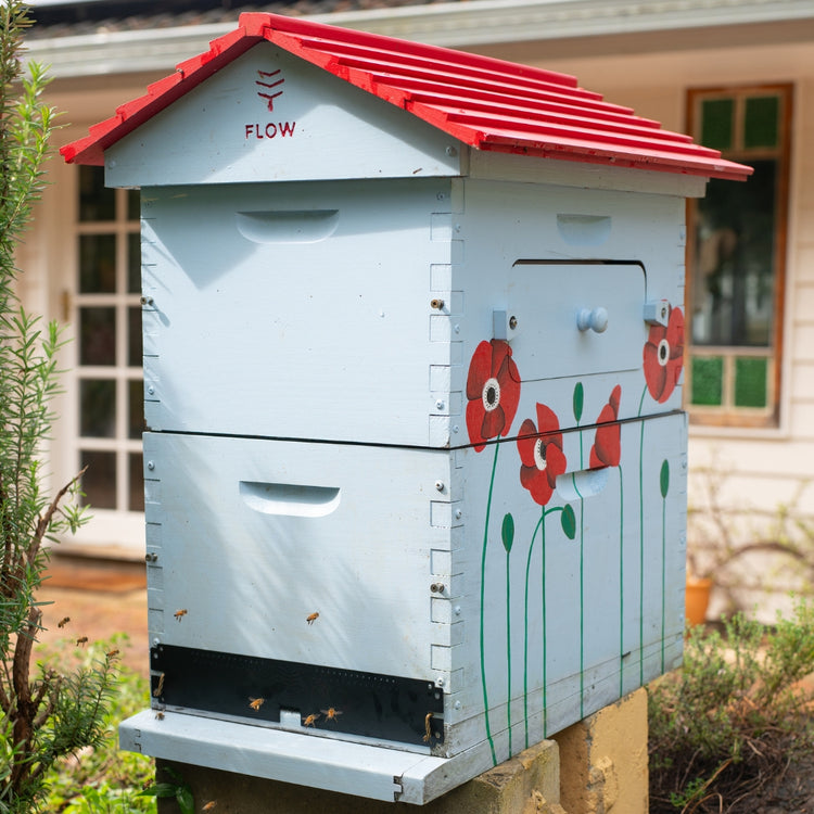 Flow Hive Classic Upgrade Kit