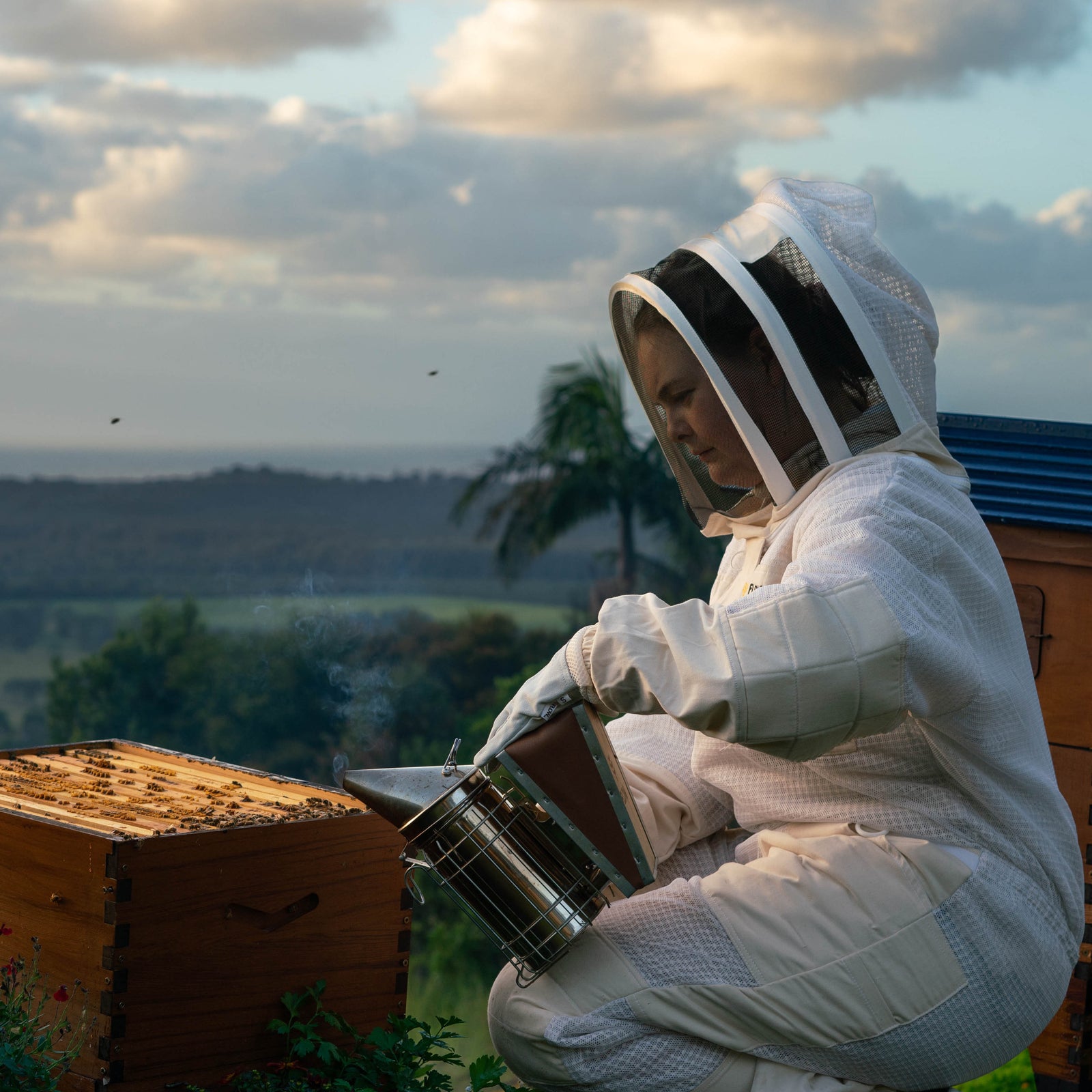 Beekeeping for beginners