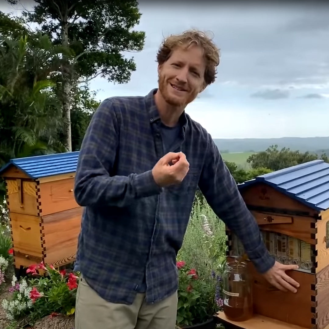 Beginner Beekeeping - March