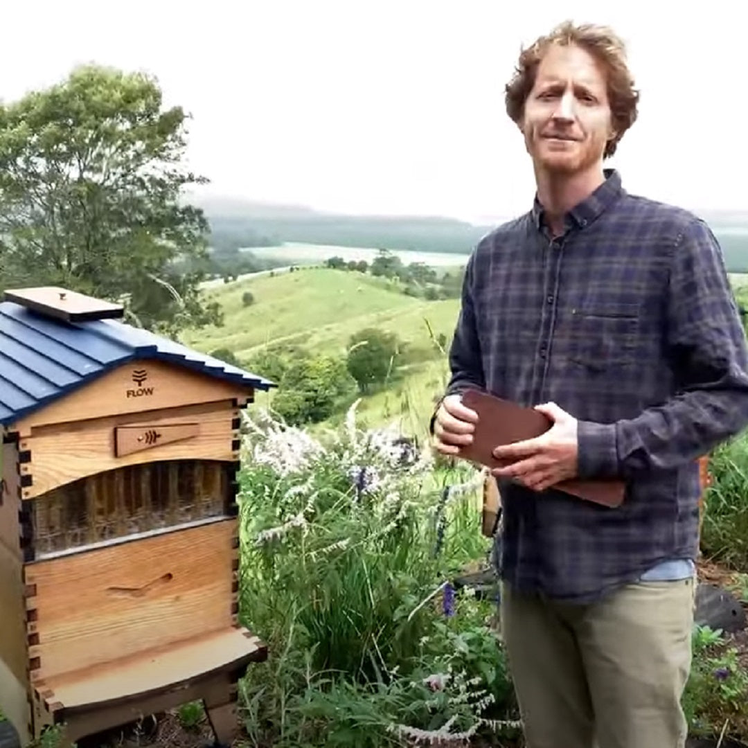 Beginner Beekeeping - April