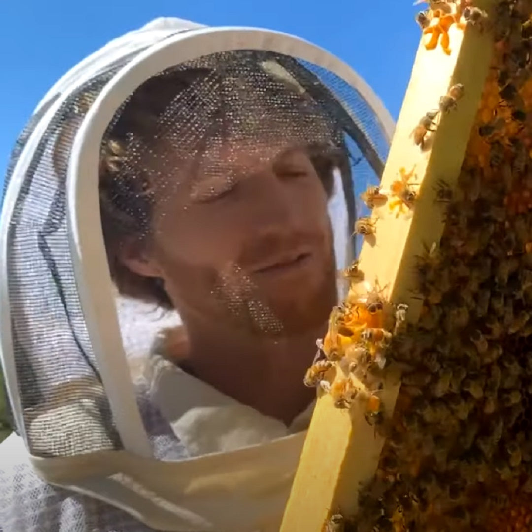 Flow Hive inspection with Cedar