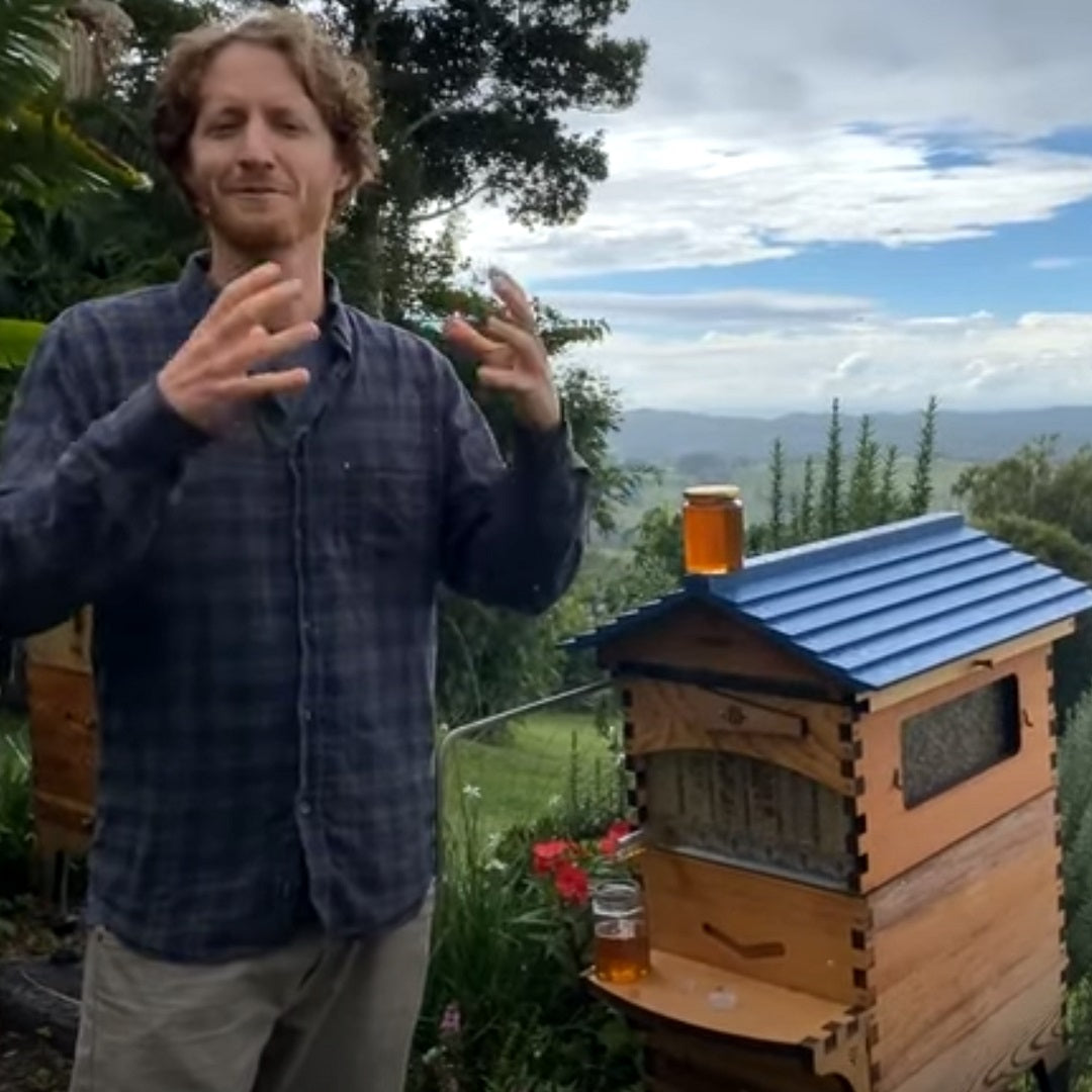 Beginner Beekeeping May