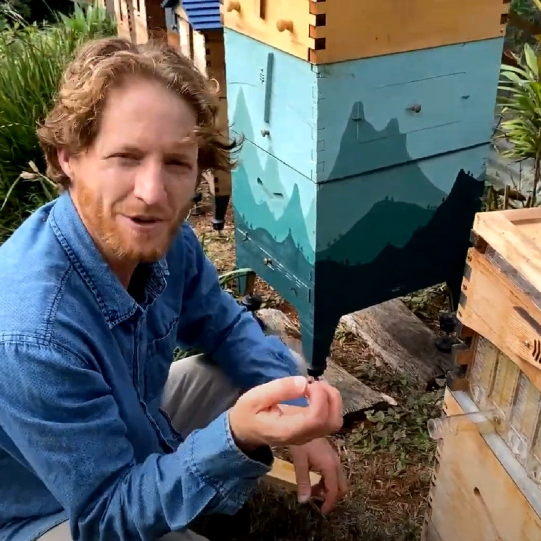 Maintenance tips & tricks with Cedar