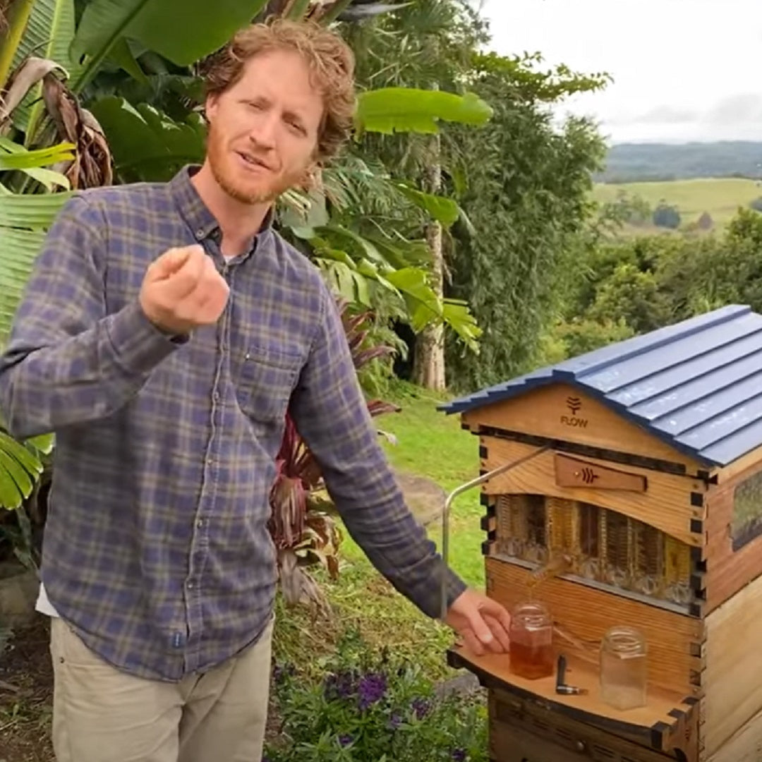 Beginner Beekeeping June