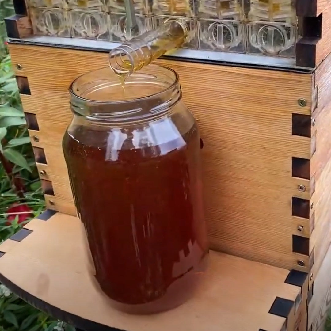 Flow honey harvest in the rain