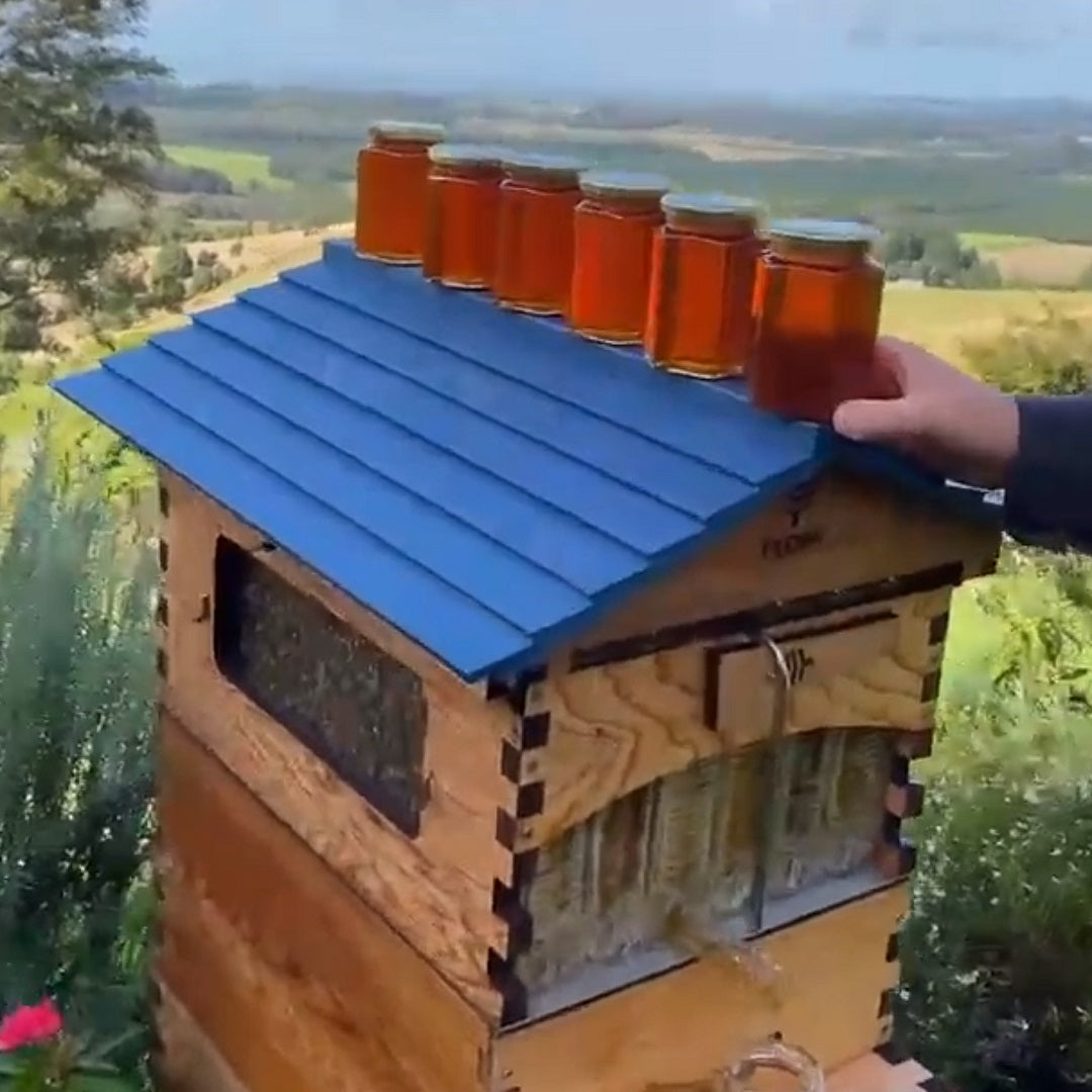 Flow Hive honey harvest Q & A
