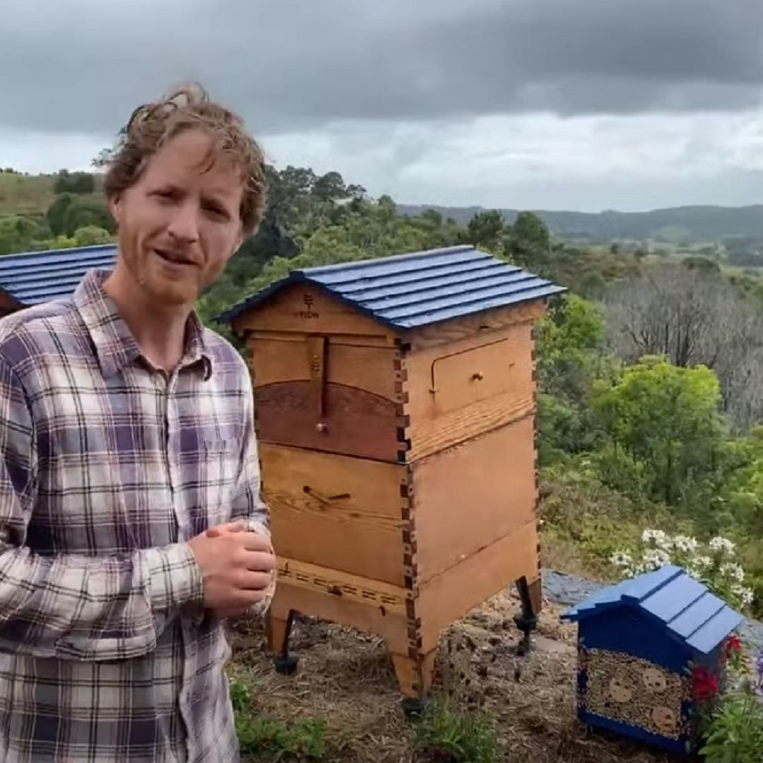 All about pollinators