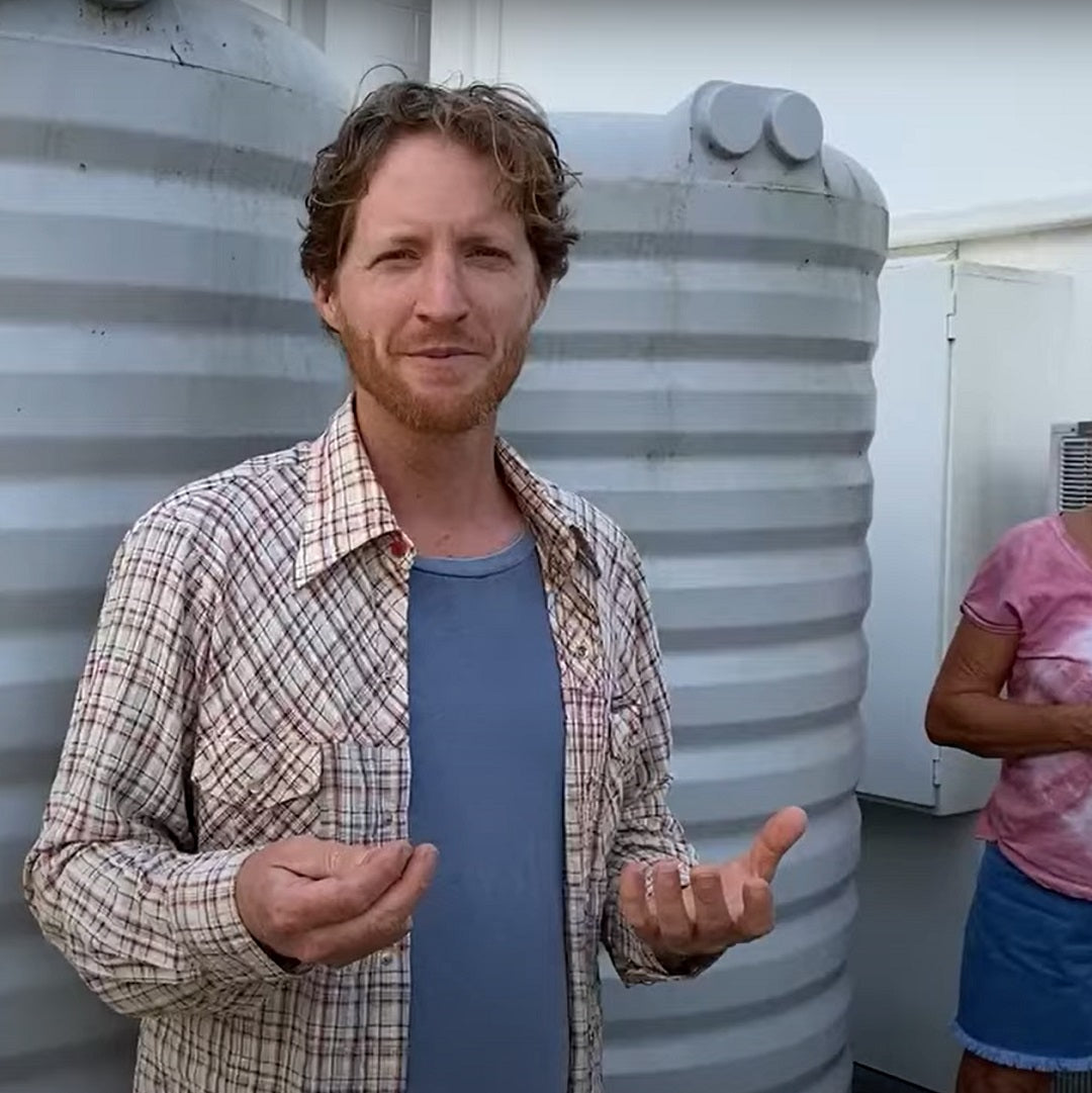 Honey harvest at Seed & Sprout HQ