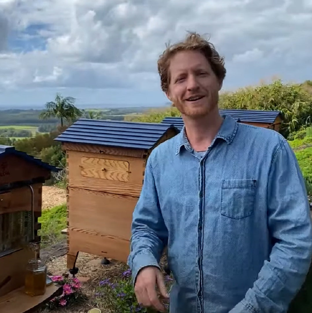 Beginner beekeeping November