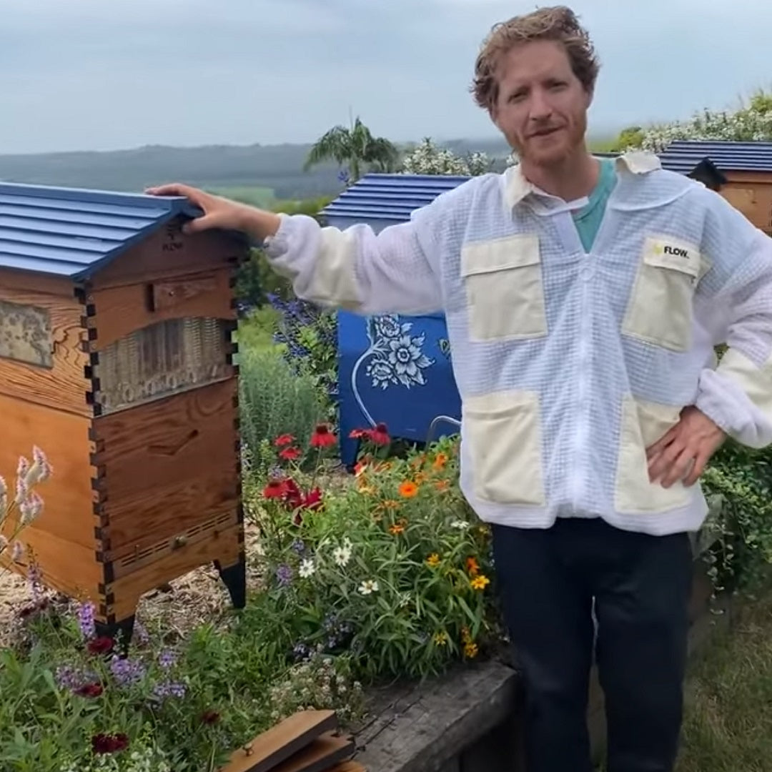 How to save your hive from hive beetle slime out