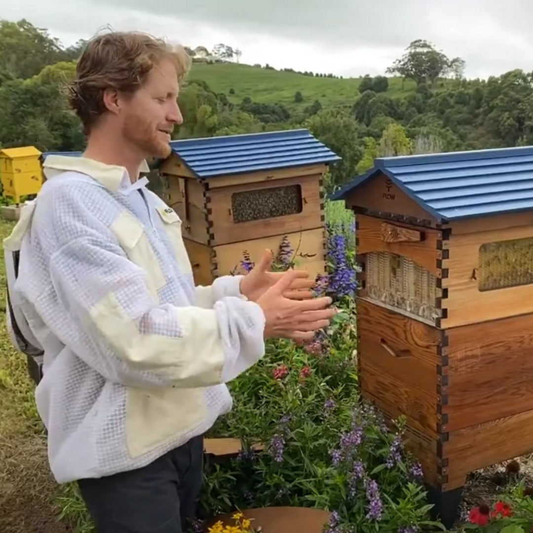 Robber bees and chalkbrood management