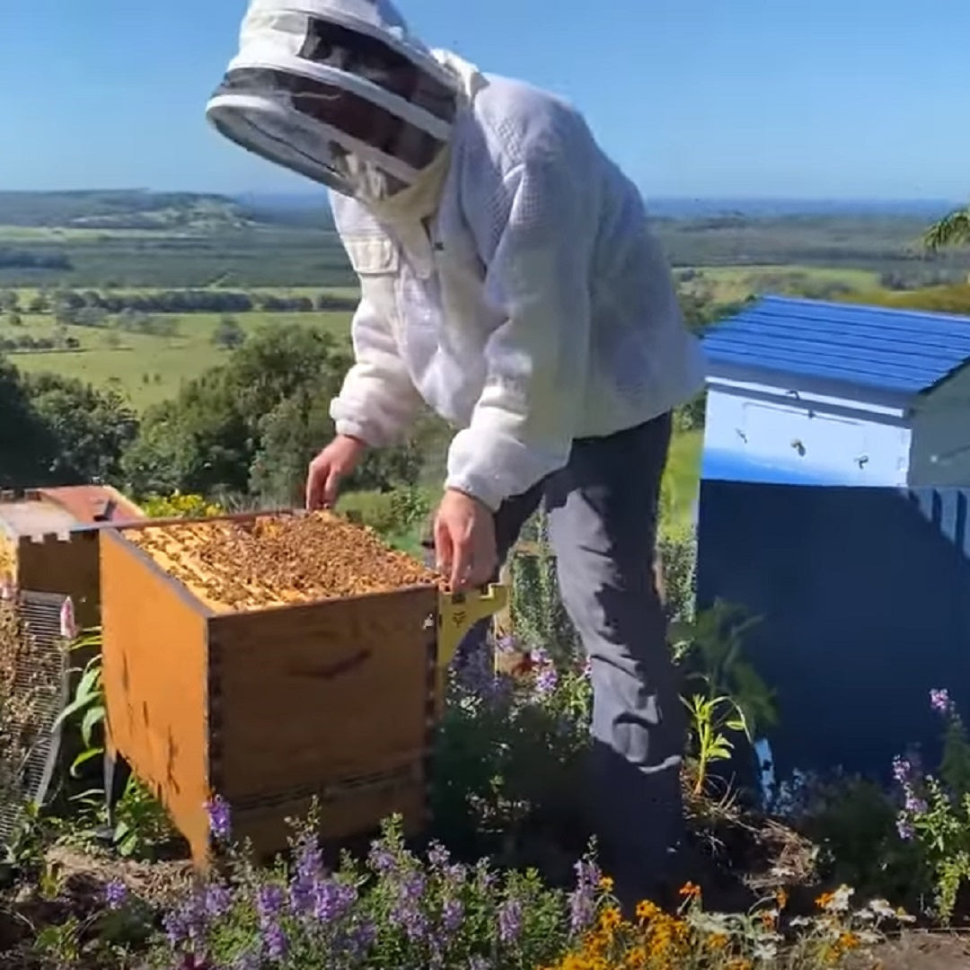 Results of banana for chalkbrood test