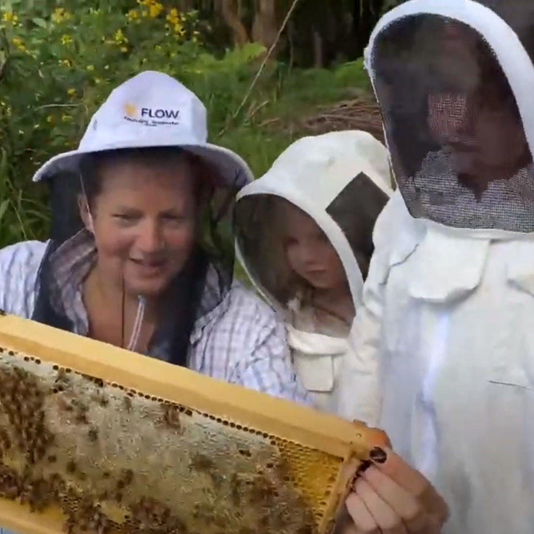 Adding a super to Jarli's hive