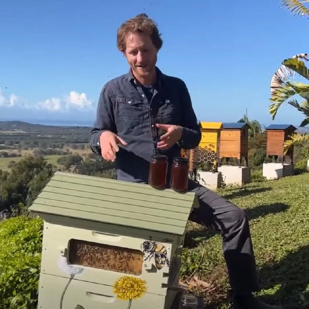 Classic Flow Hive harvest