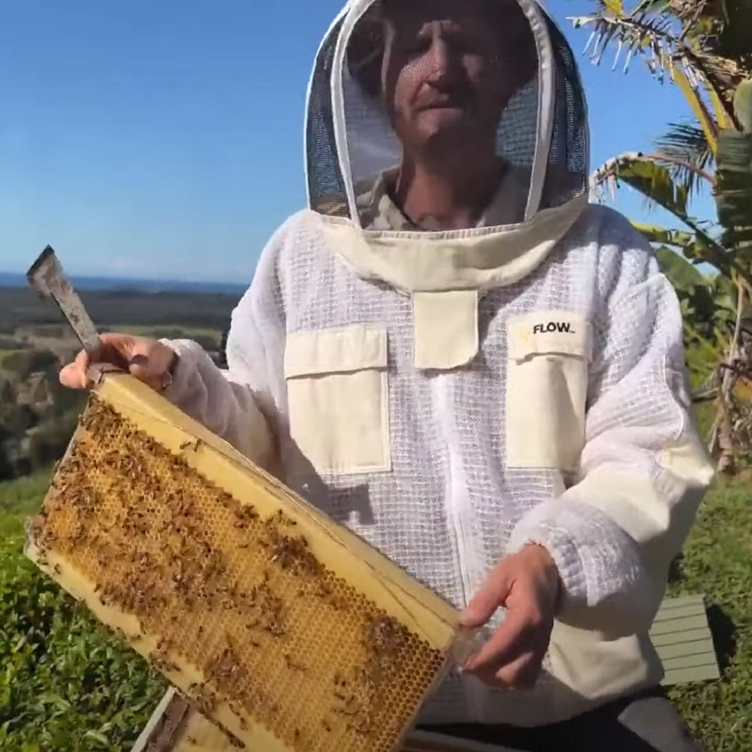 Flow Hive Classic Flow Frame inspection