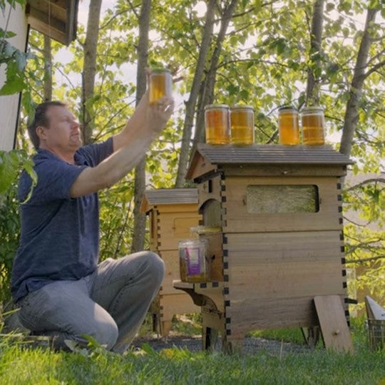 Beekeeping in Alaska: Everything you need to know
