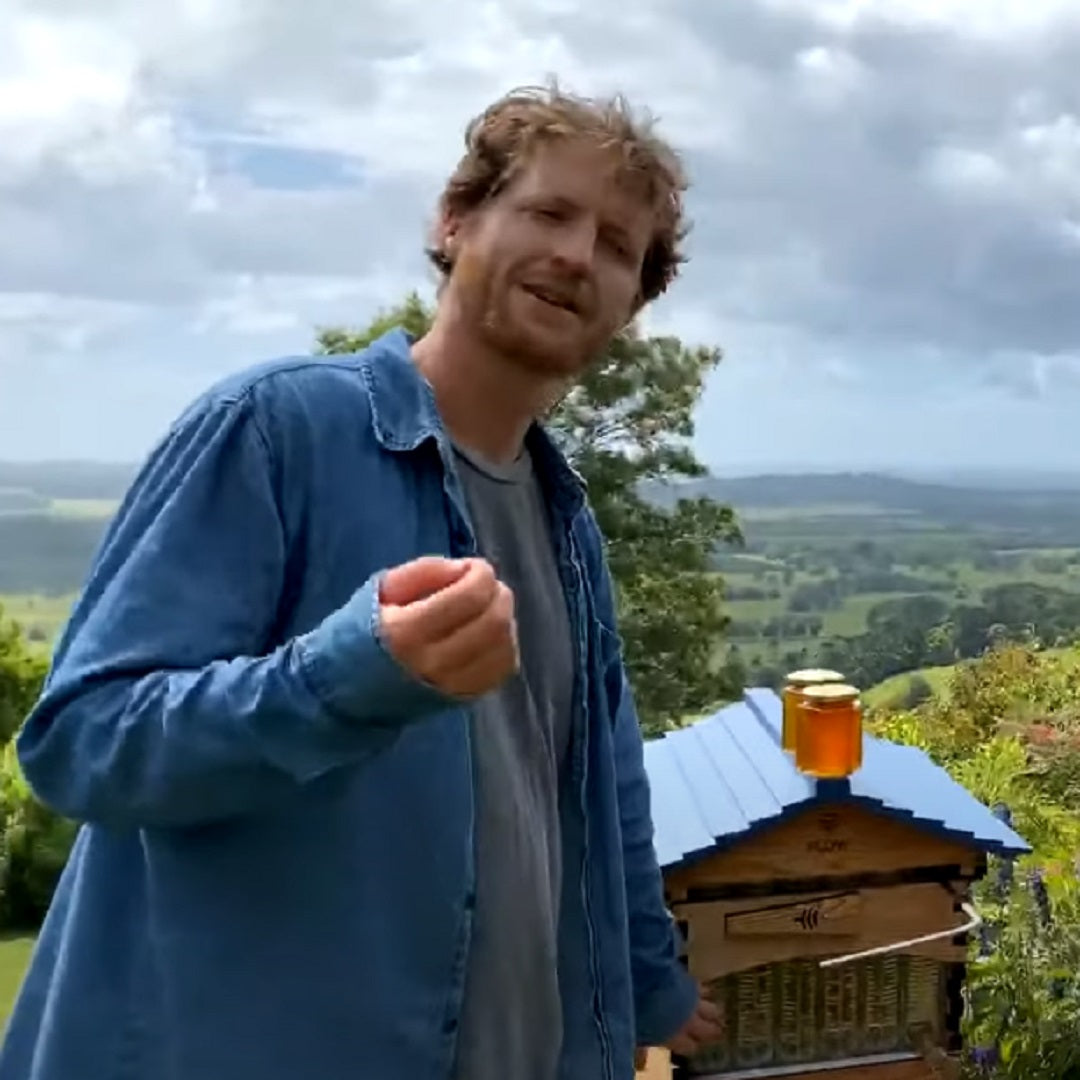 Beginner Beekeeping - February