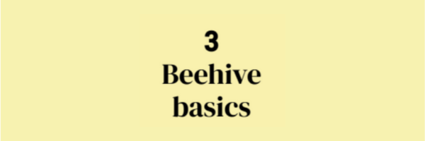 3 - Beehive Basics