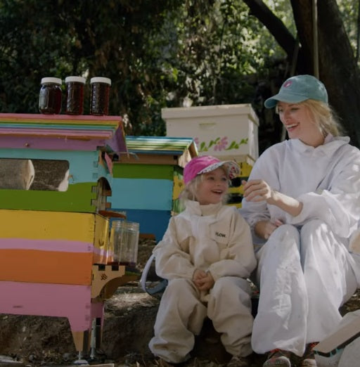 Beekeeping in California: Everything you need to know