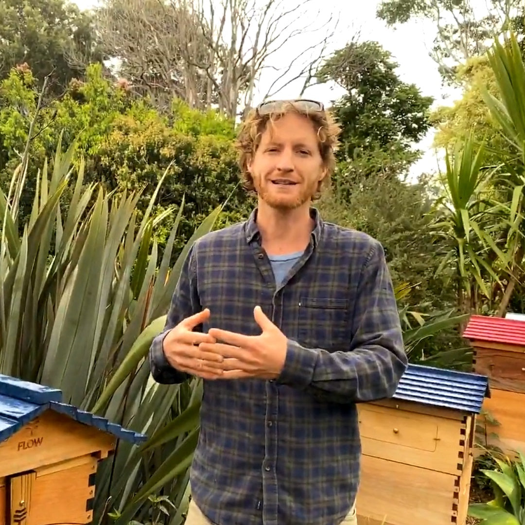 Expanding your apiary