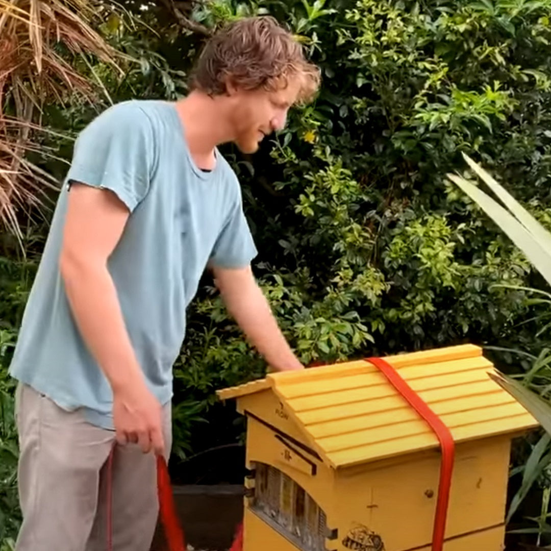 How to Secure Your Flow Hive During Extreme Weather