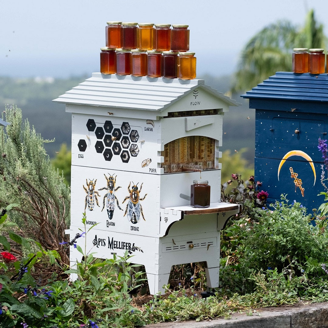 Hive Express What do bees eat? - Flow Hive US