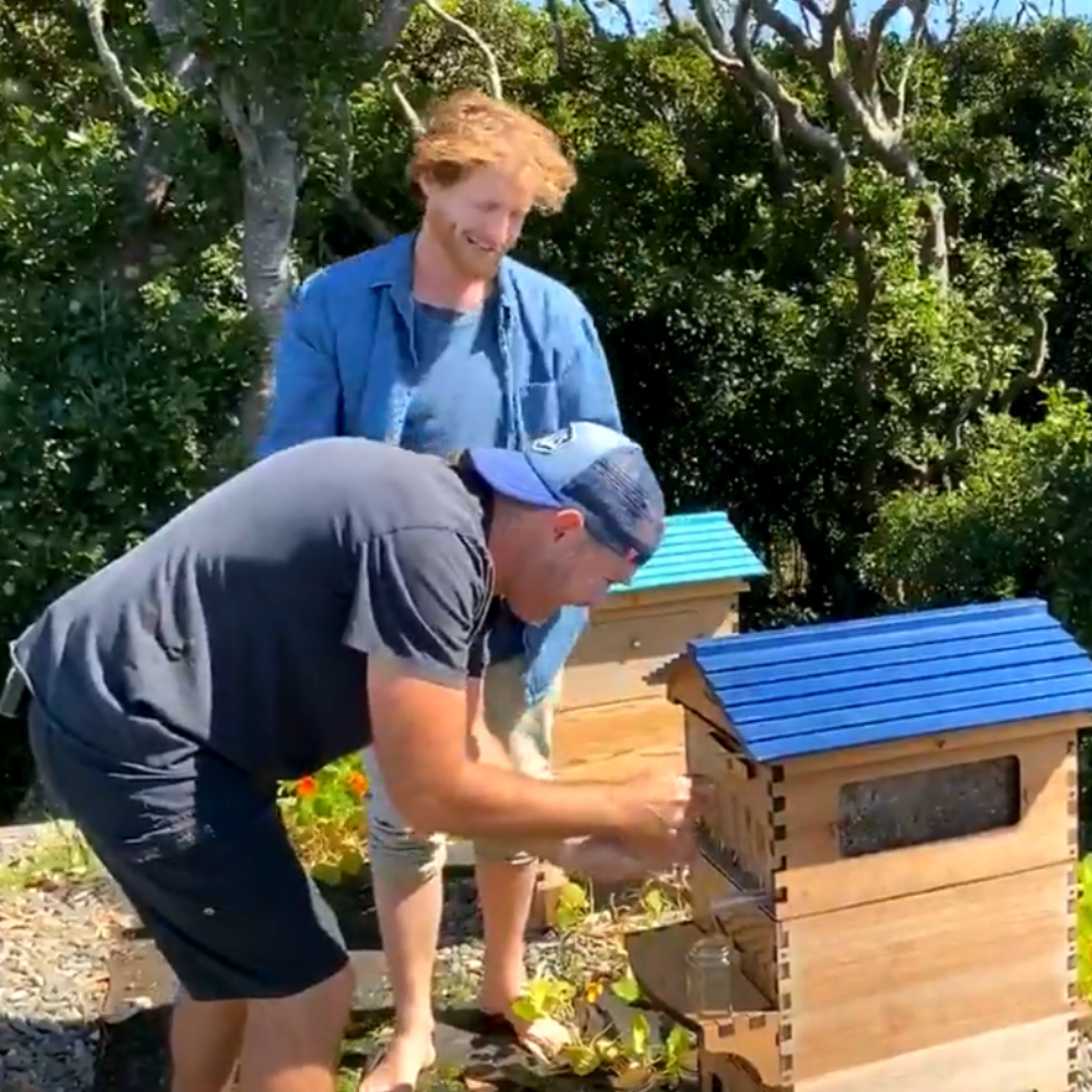 Shannon Bennett Rooftop Flow Harvested Honey