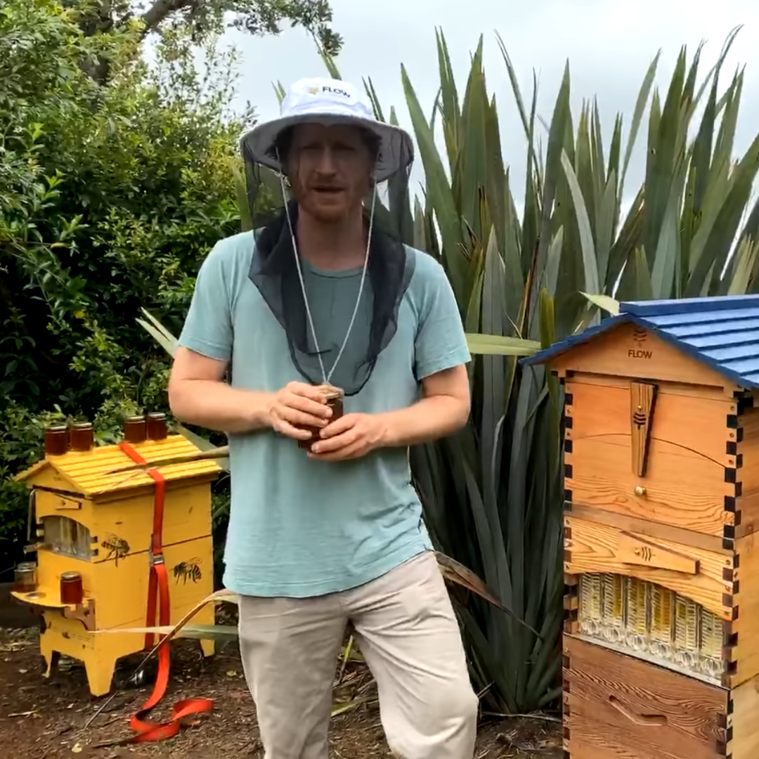 Beginner Beekeeping Q&A  - October