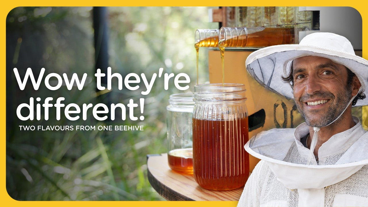 One hive, a world of flavours