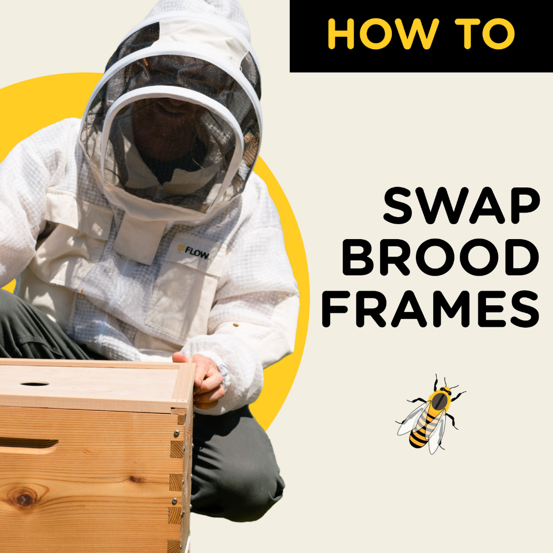 How do bees make honey? - Flow Hive US