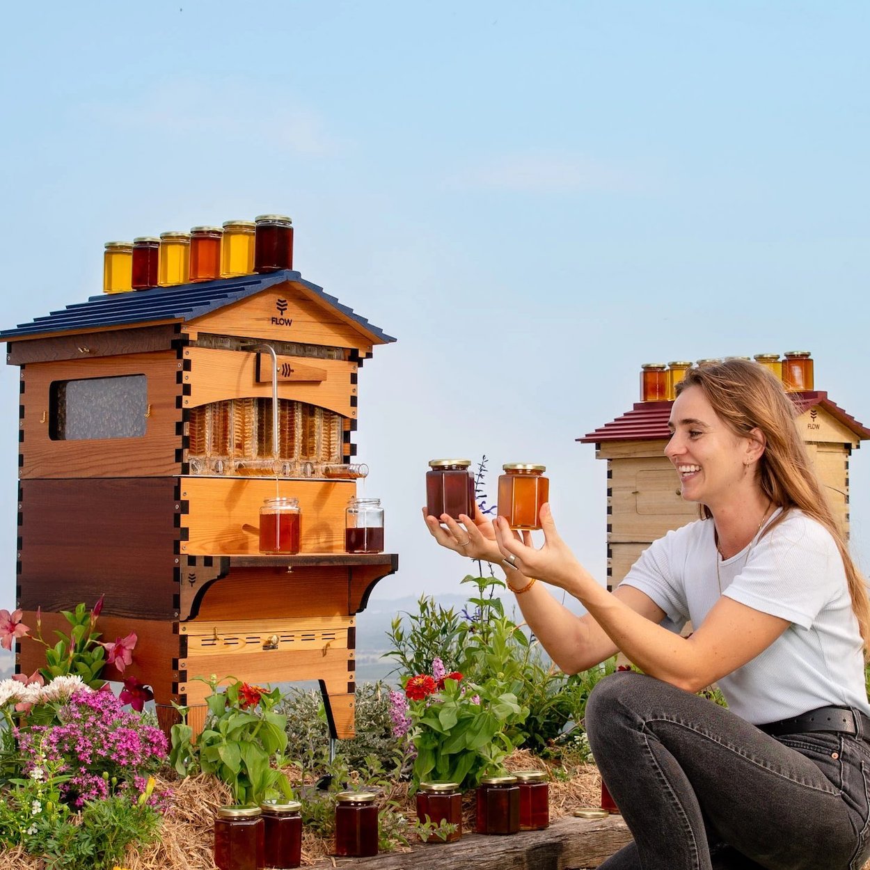 Flow Hives