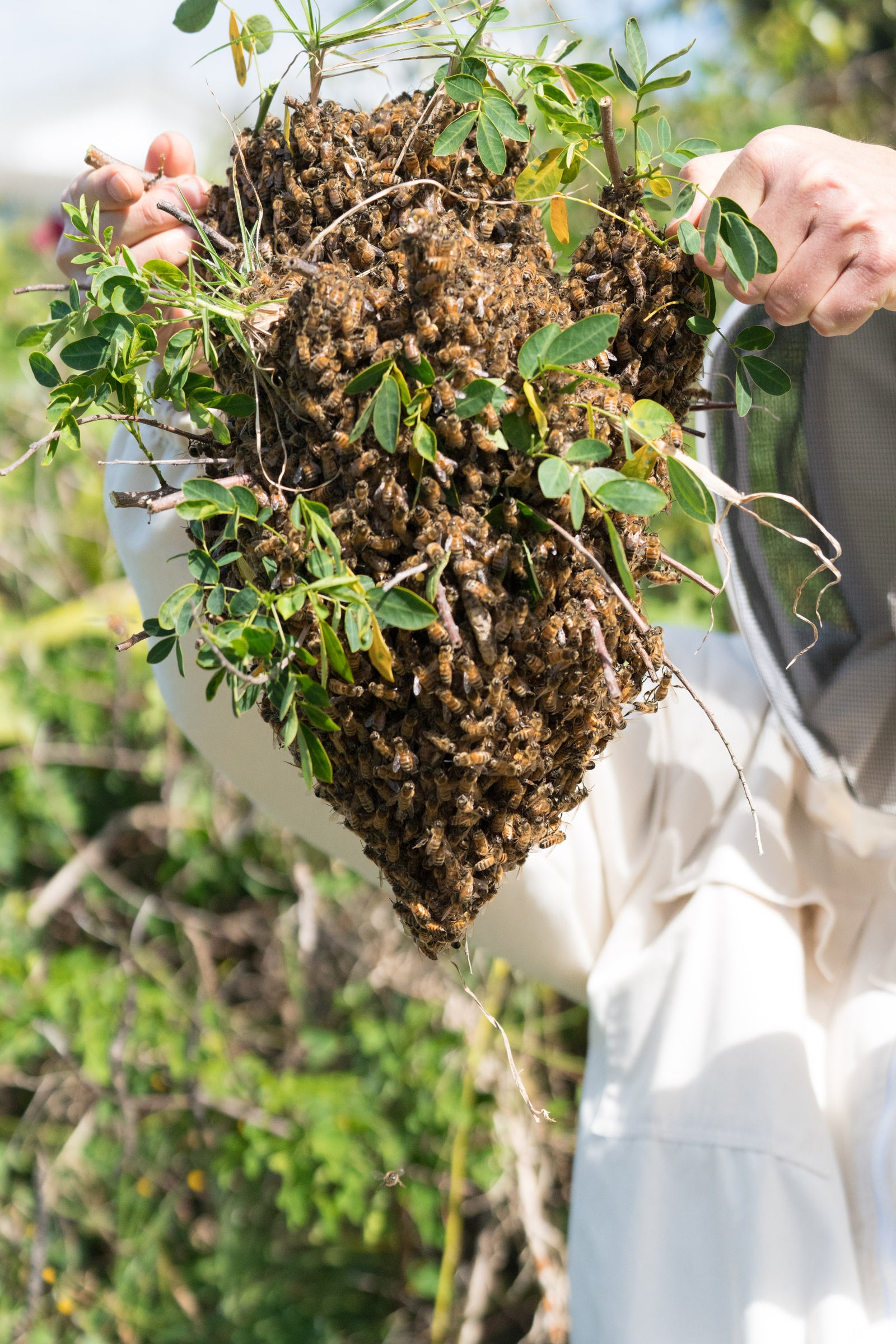 Swarm Kit