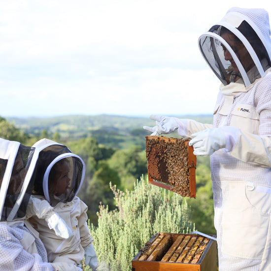 4 Important Best Practices for Any Beekeeper