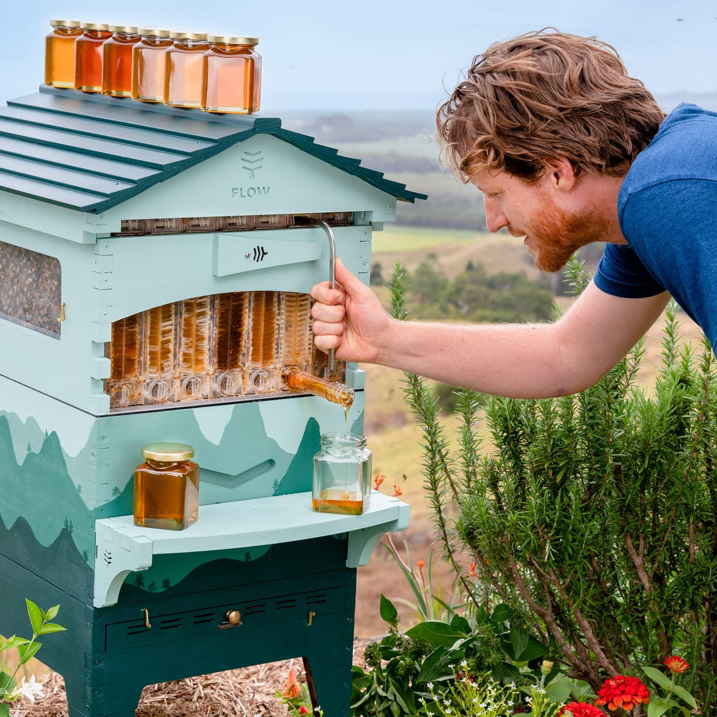 beehive deluxe | beehive deluxe edition – LHJN