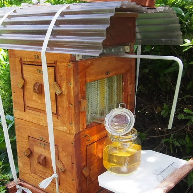 Flow Frame Tm Flow Frames | Japanese Half-Size Flow Frames - Flow Hive US