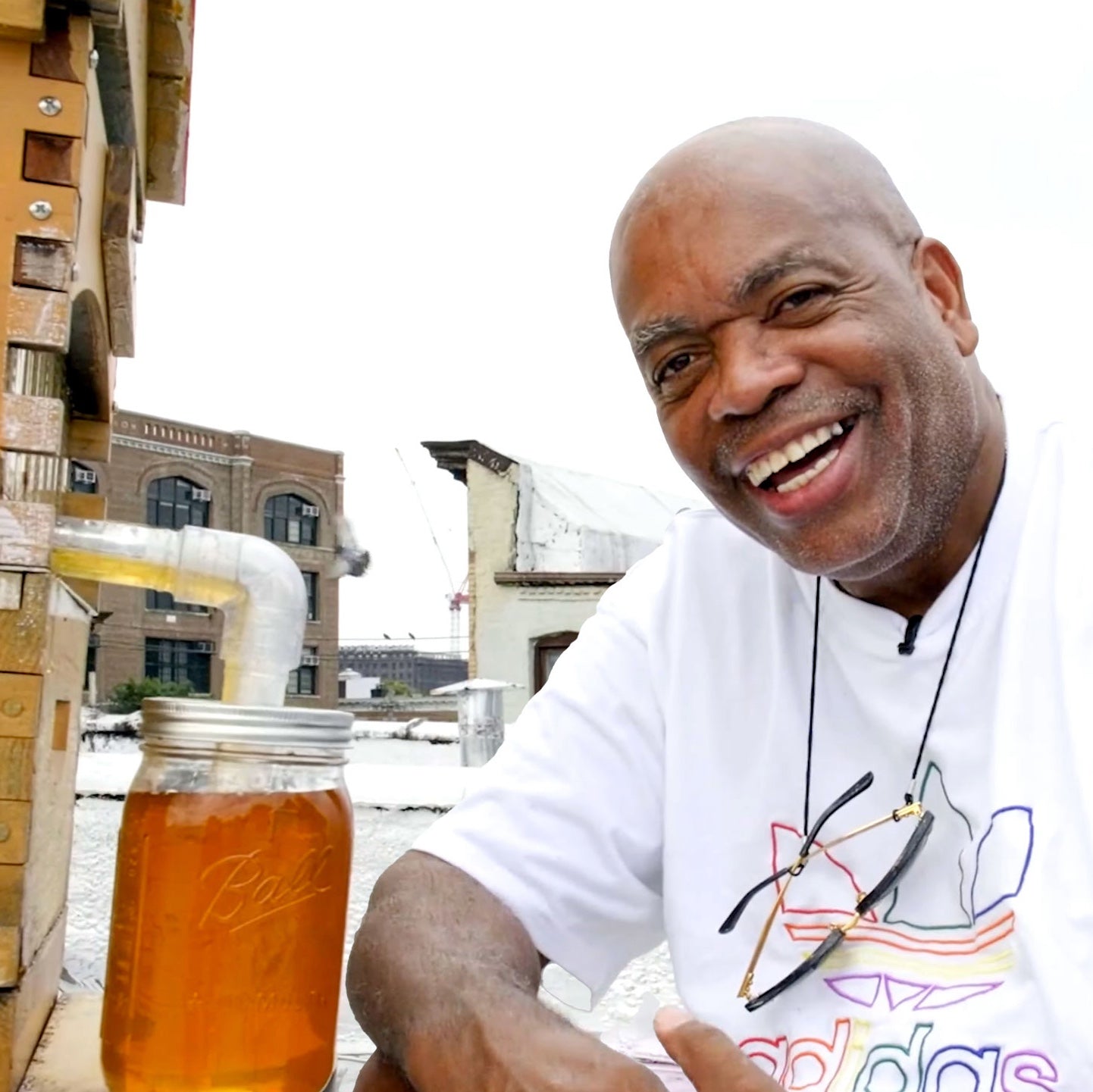 They told me I was crazy to keep bees