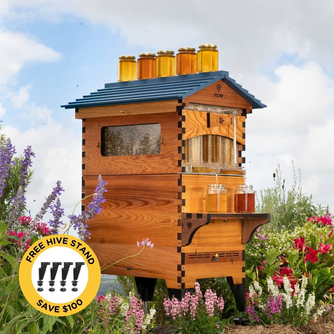 Modular Bee Hive Flow Hives | Bee hives invented and manufactured in Australia - Flow ...