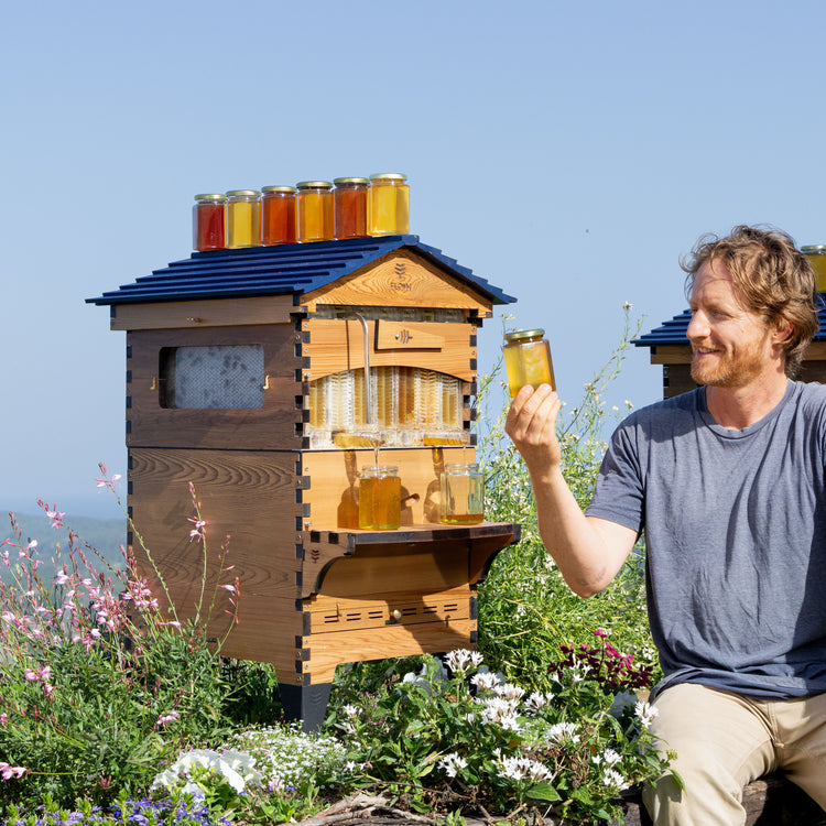 Birthday Beekeeper Bundle