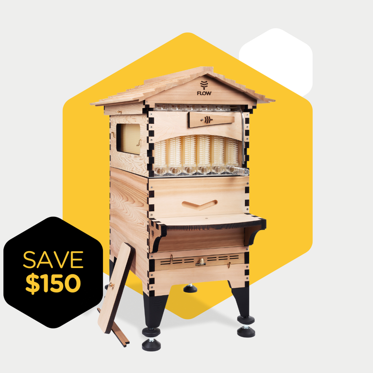 Flow Hive 2+ Scratch & Dent