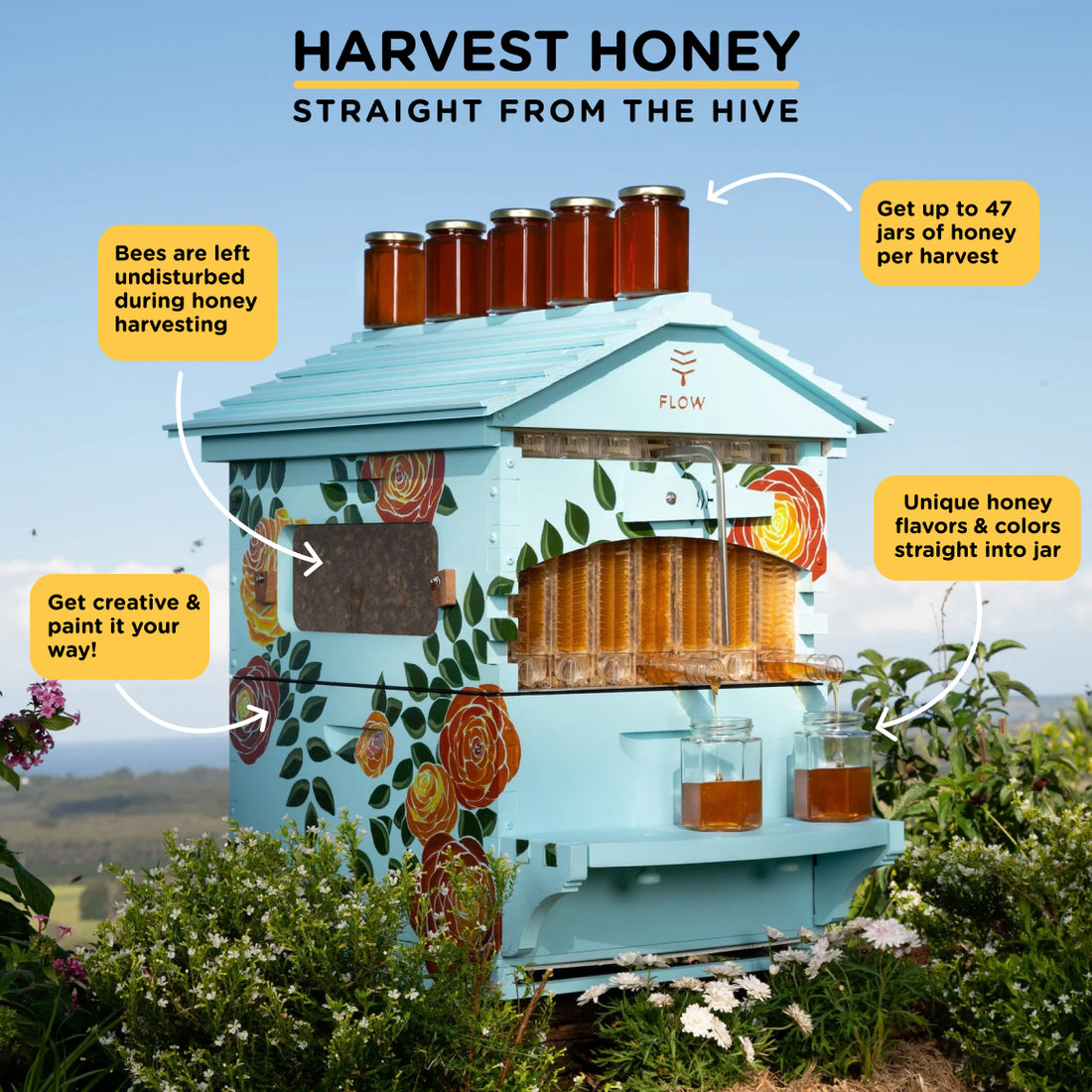 Flow Hive Deluxe Bundle