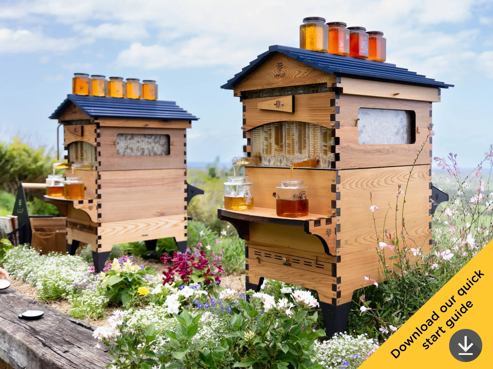Download our guide for backyard beekeeping. Made for those with a garden. 