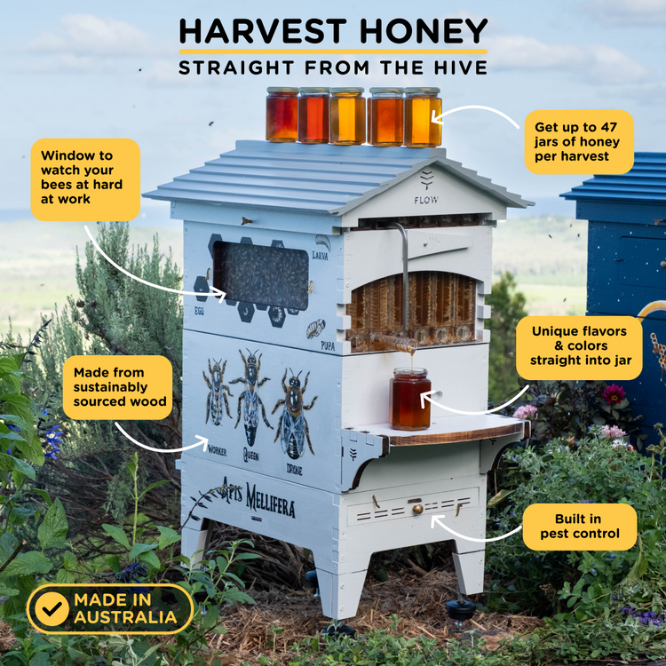 Hive Express Beehive Starter Kit for US | Deluxe Starter Bundle - Flow Hive US